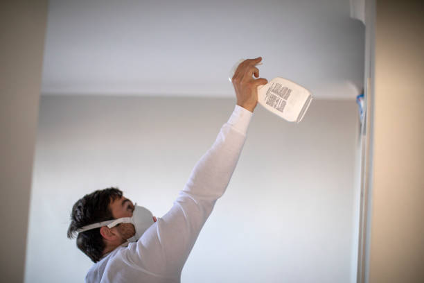 Best Emergency Mold Removal  in Air Force Academy, CO