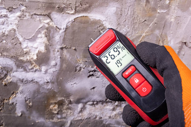 Best Mold Remediation  in Air Force Academy, CO