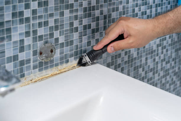 Best Home Mold Removal  in Air Force Academy, CO